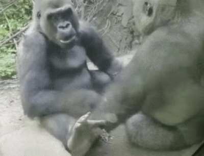 Mi Jefita: ¿Como te fue en el trabajo hoy mijito? Yo: Nada fuera de lo normal con los compas