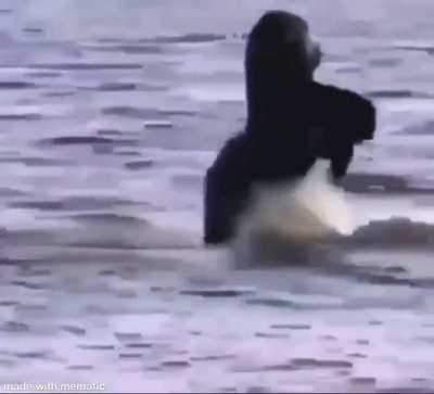 When the water is cold 😳