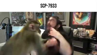 monkey