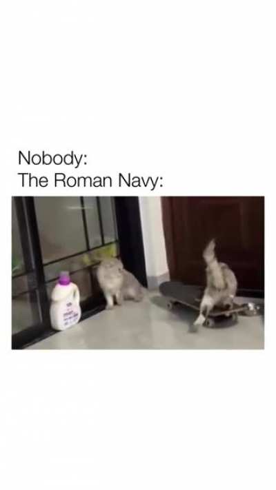 meow meow