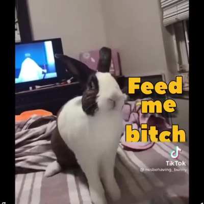 Dinner on demand