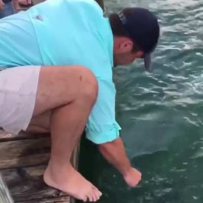 Fishing with bare hands