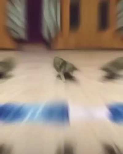 With Breakdancing now part of Olympics, here is USA's gold winning olympian
