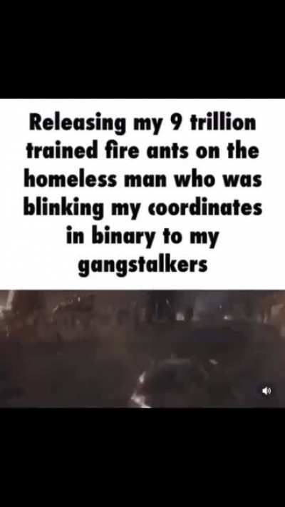 Get him!