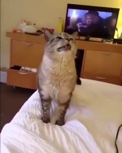 What a sneeze