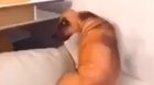 Look at this cute little-