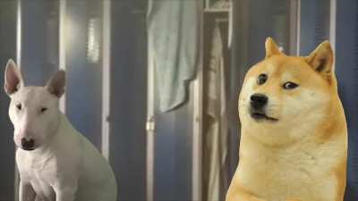 Banned German Doge Commercial