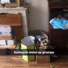 Not a morning cat