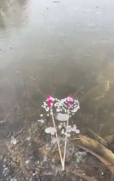 Fireworks underwater