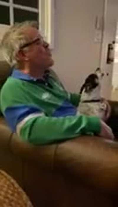 My parents looked after our pup for the weekend. I think he has found his new pack.