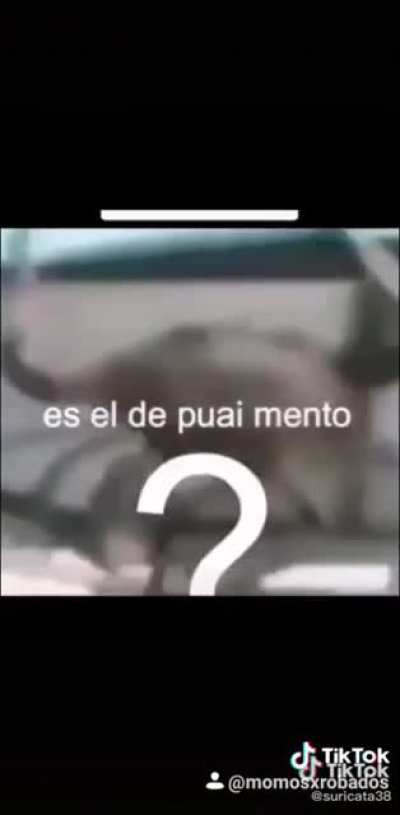 VAMOS SELFIRI 😎😎