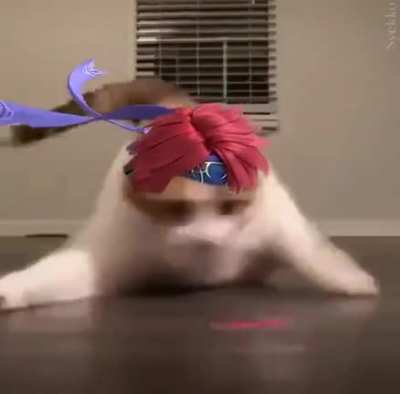 POV: Roy