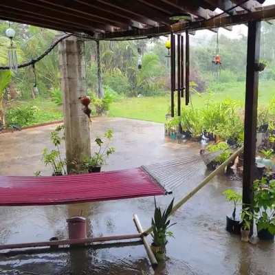 Watching the rain together