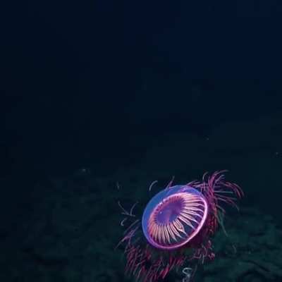 Underwater contact lense