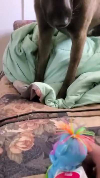 WHAT IS THAT?