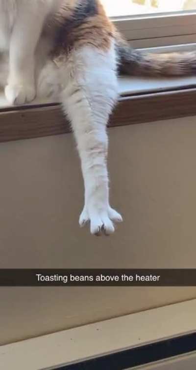 Baked beans.