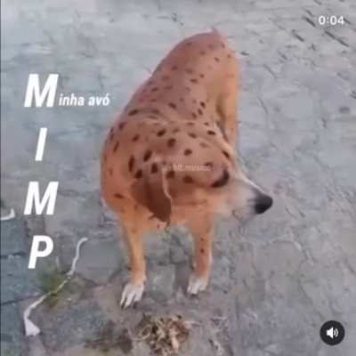 titel