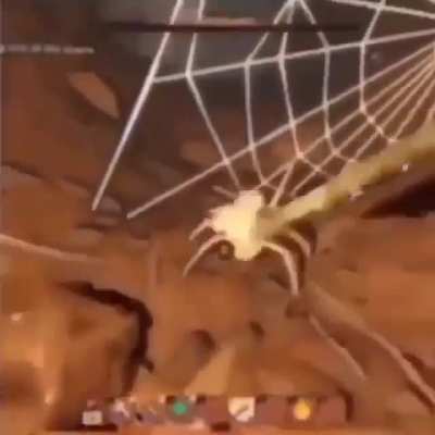 Haha die little spider