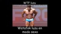 Noooo luzu que hiciste