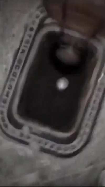 Unexpected treasure