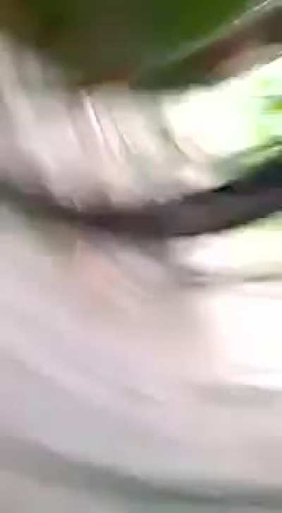 let's pop this wasp nest like an egg