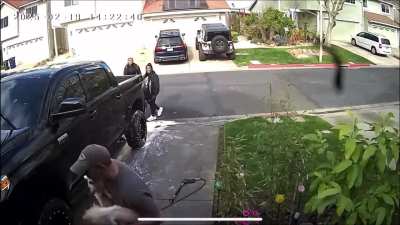Woman kicked dog, dog got liver damage, Police are looking for the woman.
