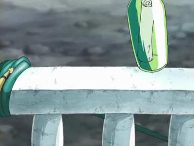 Zoro to the rescue 