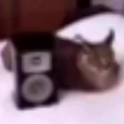 flopper music