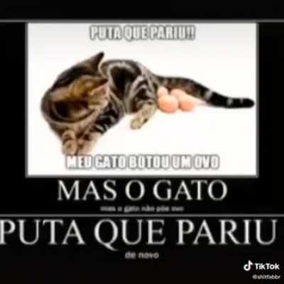 p*** que pariu! (veio do tico teko, infelizmente.. só que é shitpost então não conta kkj)