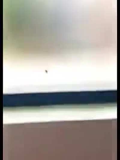 A dona aranha subiu pela parede......