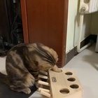 Hol' up GIF