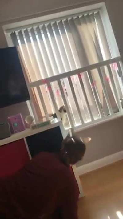 Surprise!!!