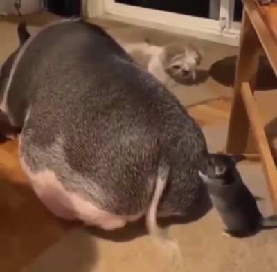 Эй, подви<wbr>нься!