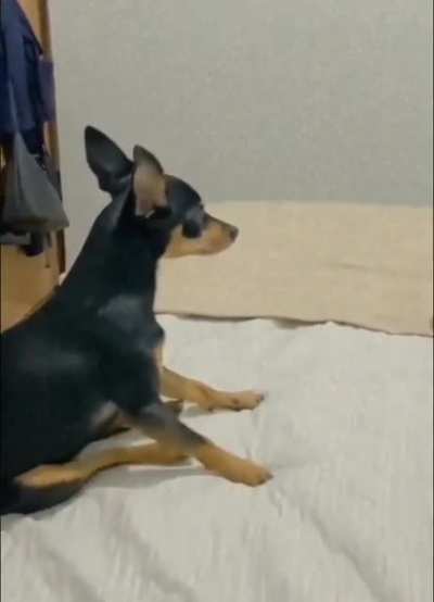 Jumpscare