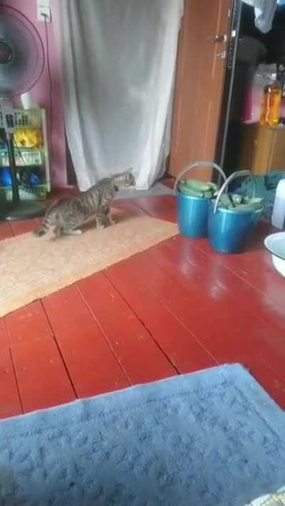 oops!