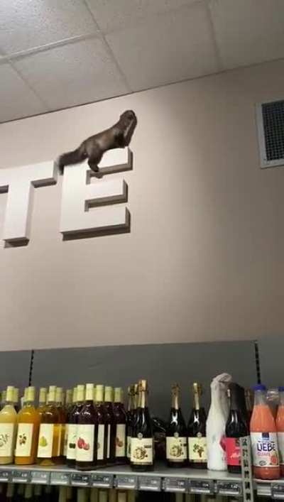 Not a welcome customer