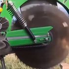 What in tarnation?!