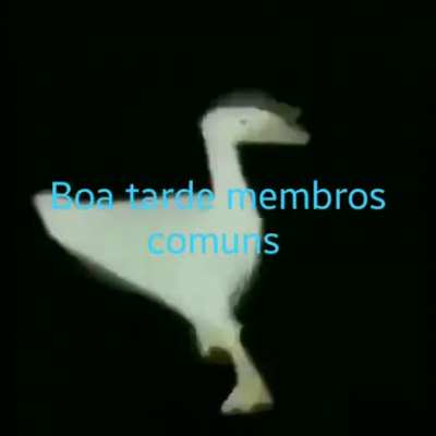 Boa tarde