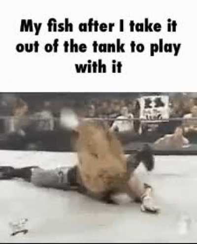 Rule