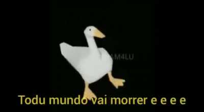 Eu postei esse video no reddit do raposito sem querer,mas oq importa e que esse video e muito bom