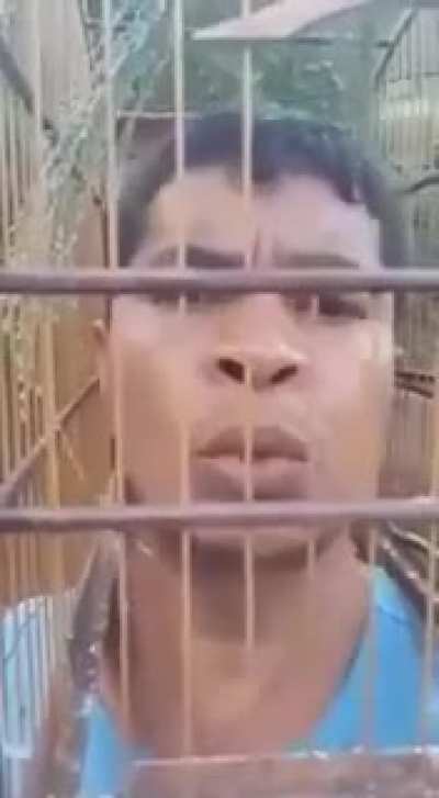 Tui tui