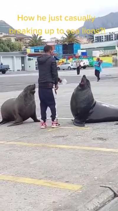 No fighting boys! No fighting!