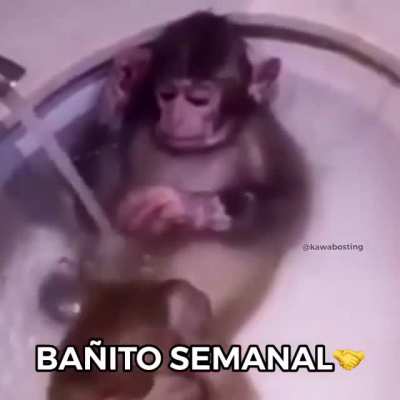 Chango limpio