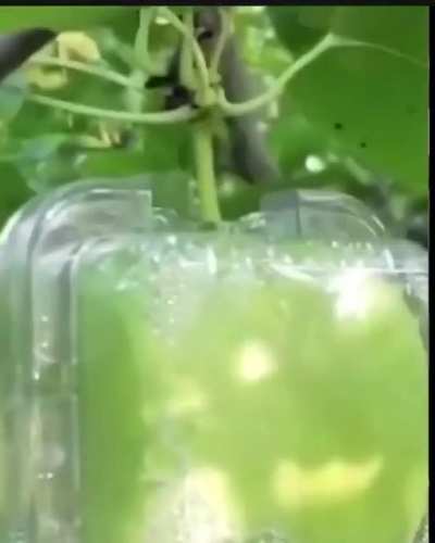 Why