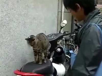 Пешком пойдёшь