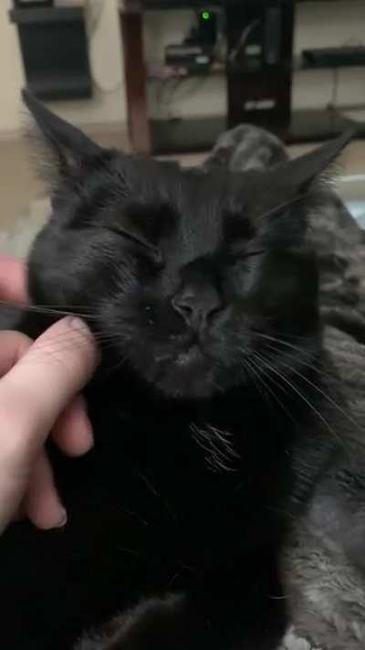 My favorite little face