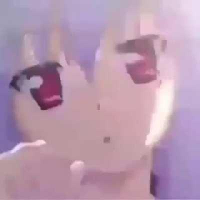 Miauu