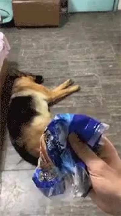 Snack time?