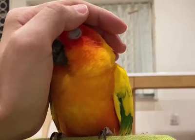 А это когда ты злой, но совес<wbr>тливы<wbr>й
