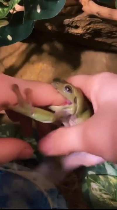 He’s hungry